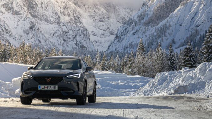 comment choisir une cupra occasion marques & modèles